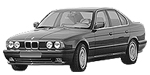 BMW E34 C2450 Fault Code